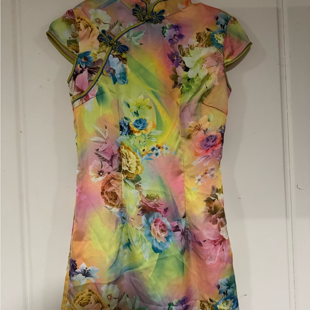 Gorgeous Geisha dress - Picture 11 of 15